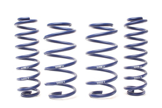H&R 19-25 Toyota RAV4 (not Incl. Hybrid) Adventure Raising Spring